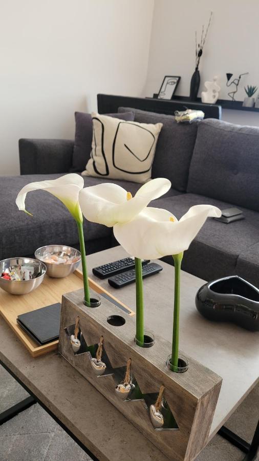 Apartman Riva Кралево Экстерьер фото