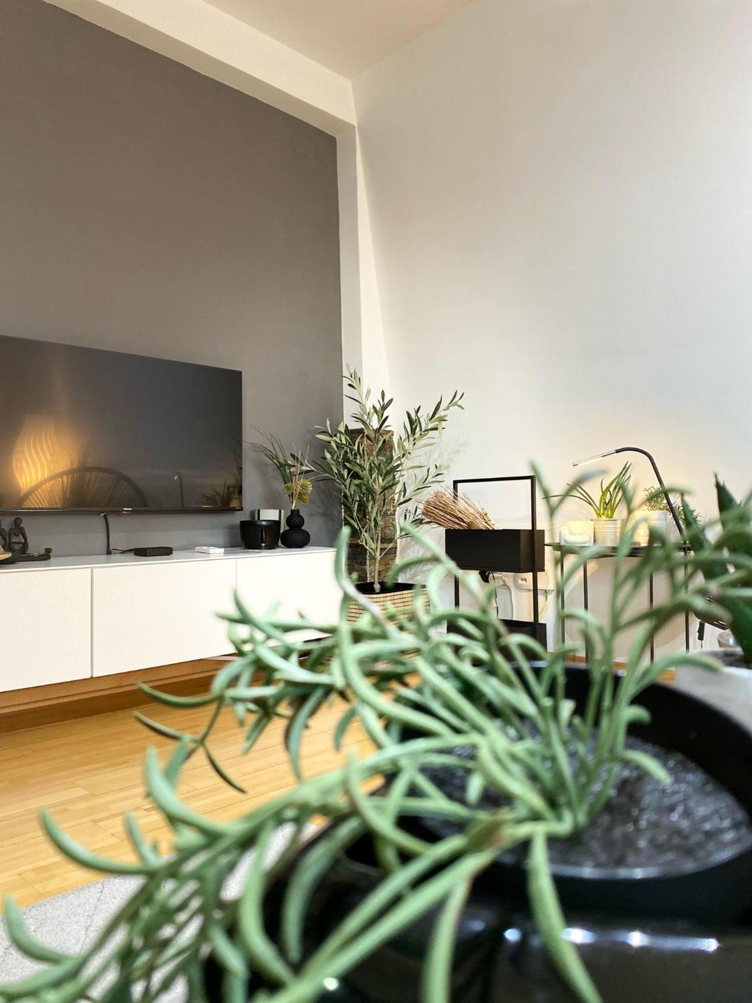 Apartman Riva Кралево Экстерьер фото